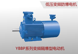 YBBP變頻防爆電機(jī)