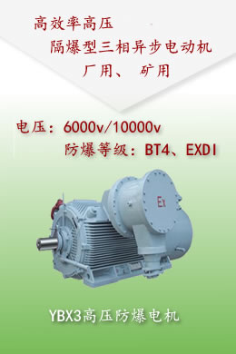 YBX3高壓防爆電機-6kv，10kv